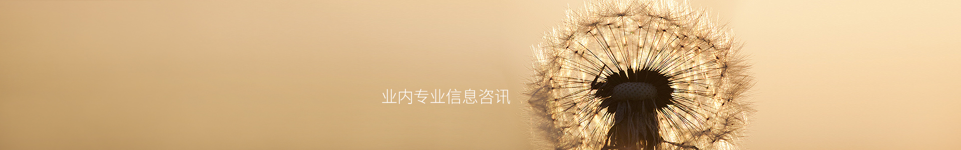 北厝镇